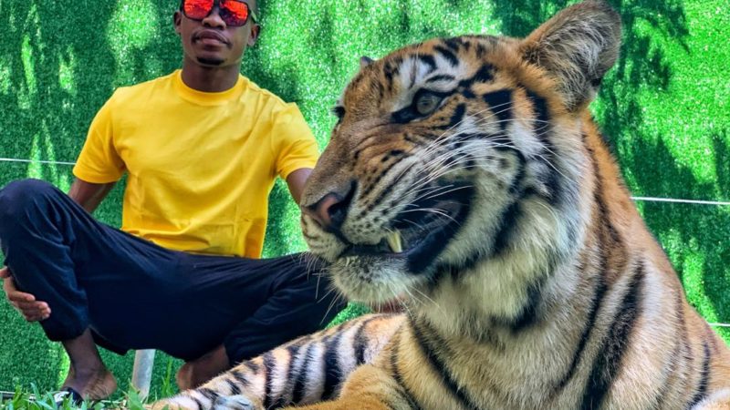 Nigerian model Emmanuel somto conquers his fears as he poses and chat with a tiger